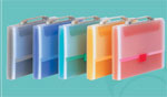 Expandable document bag