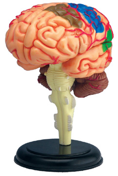 Scientific Displays for Use